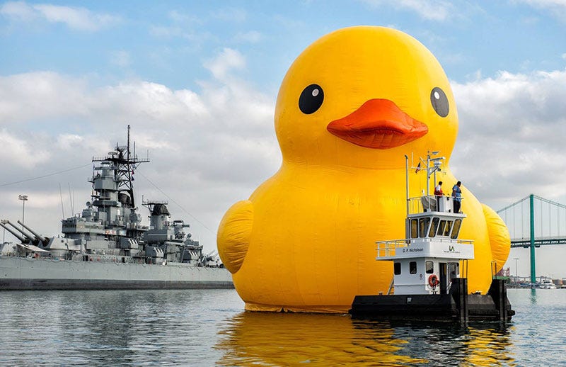 big rubber duck